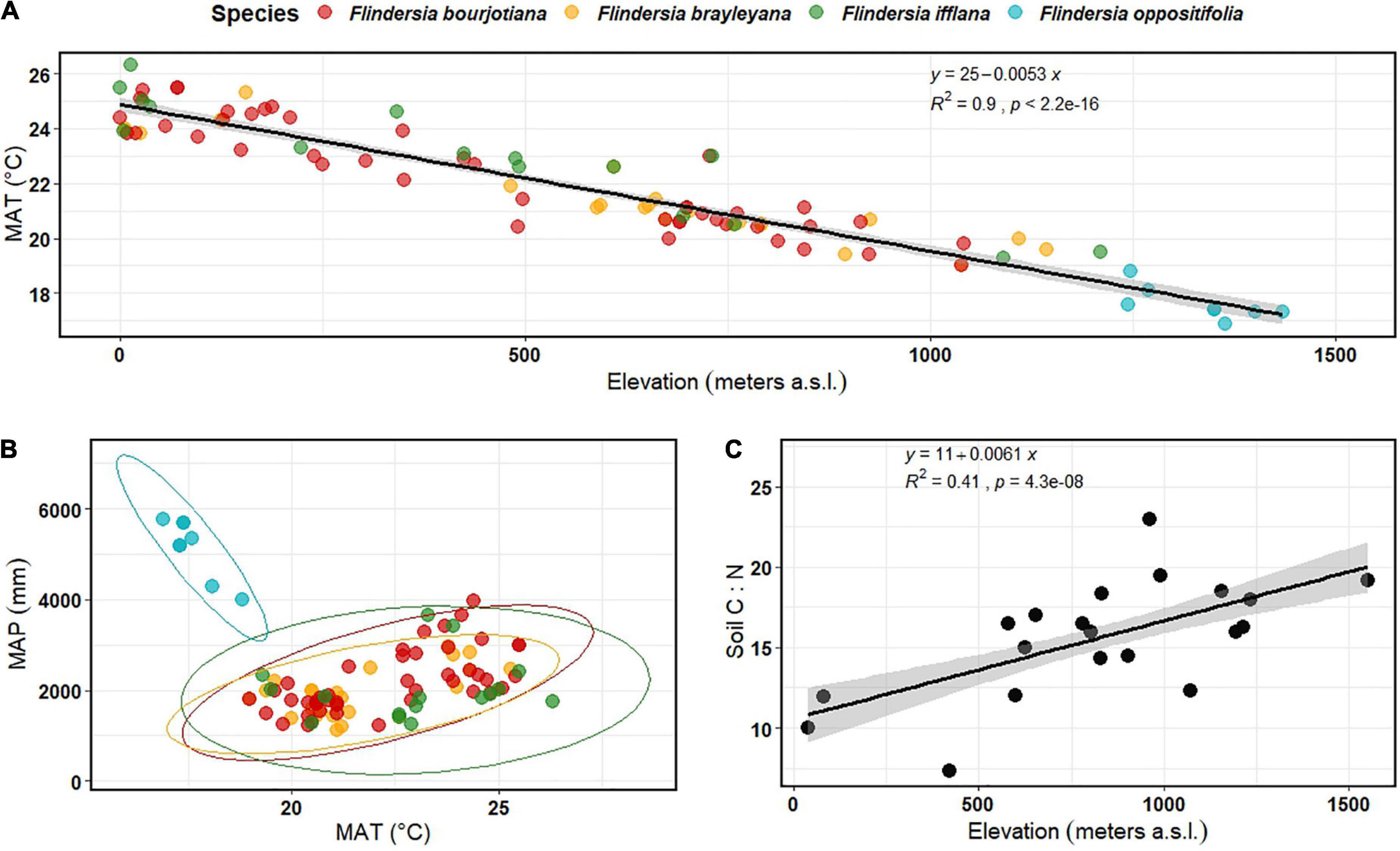 Temperature, nutrient availability, and species traits interact to shape elevation responses of Australian tropical trees